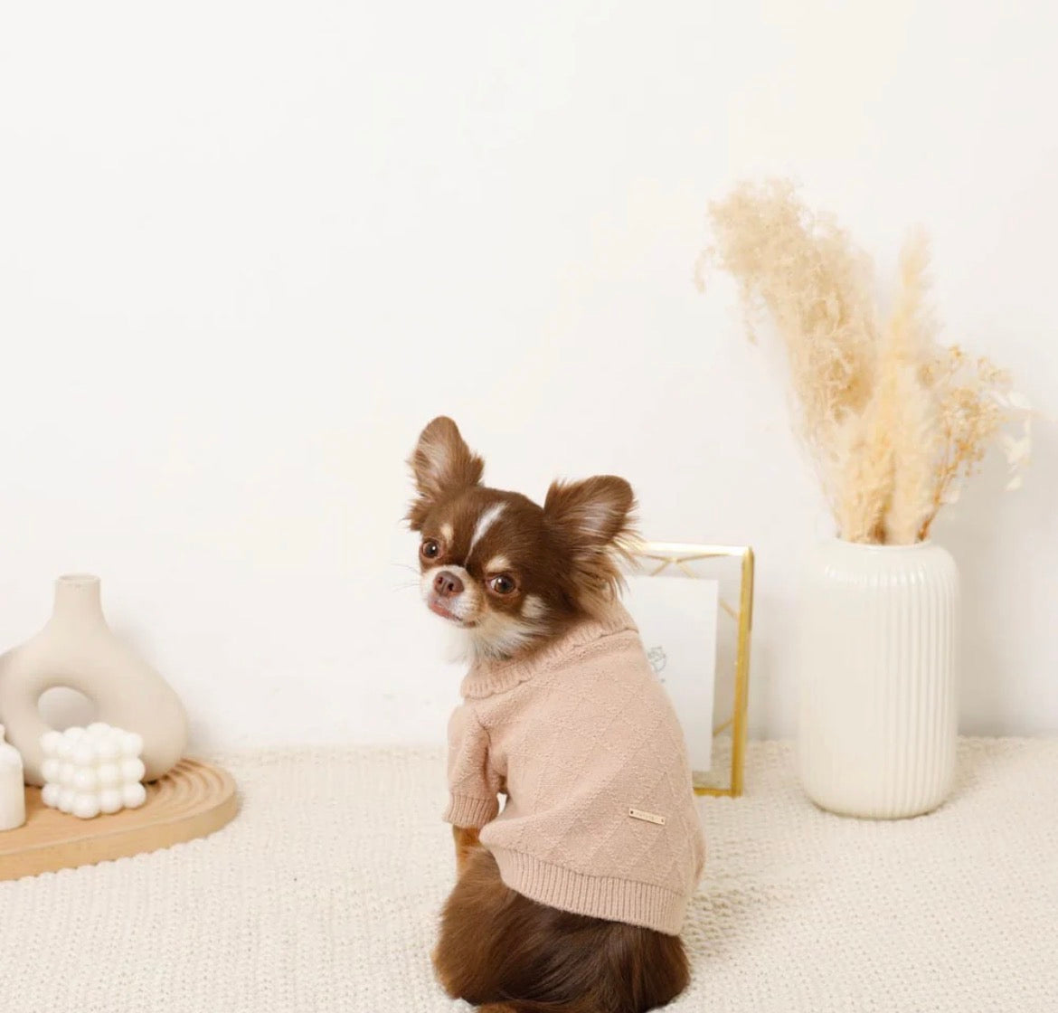 Custom order L&L: Strawberry Embroidery Collar