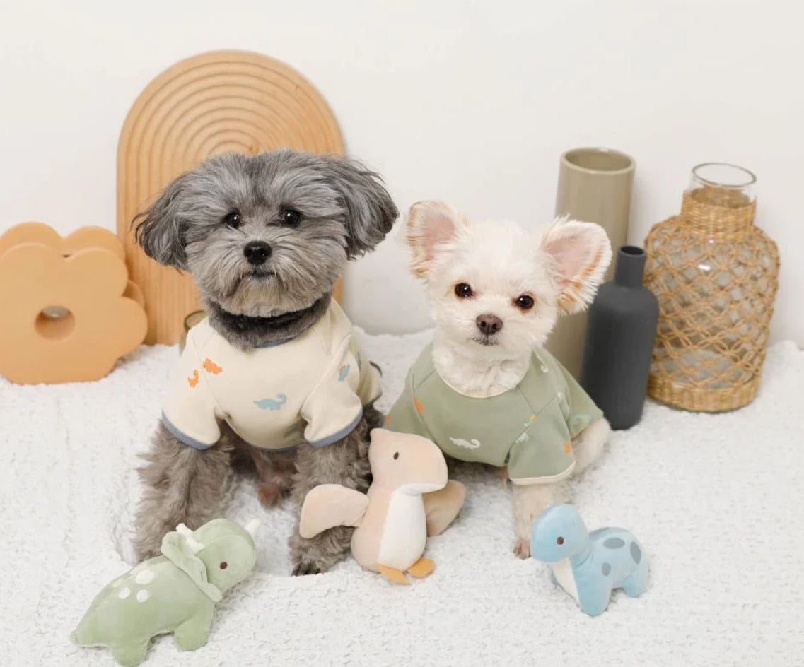 Dinosaur friends toy set