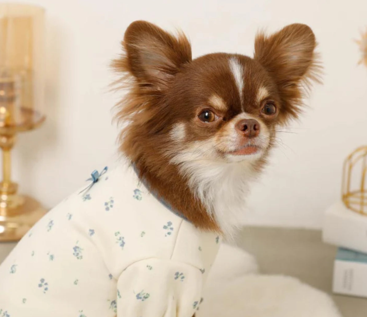 Cozy Blossom Puff Top