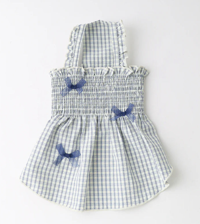 Gathered Ribbon Dress