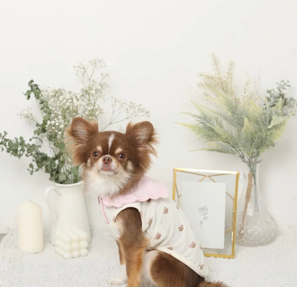 Custom Order L&L: Sailor Scalloped Bear Sleeveless Top