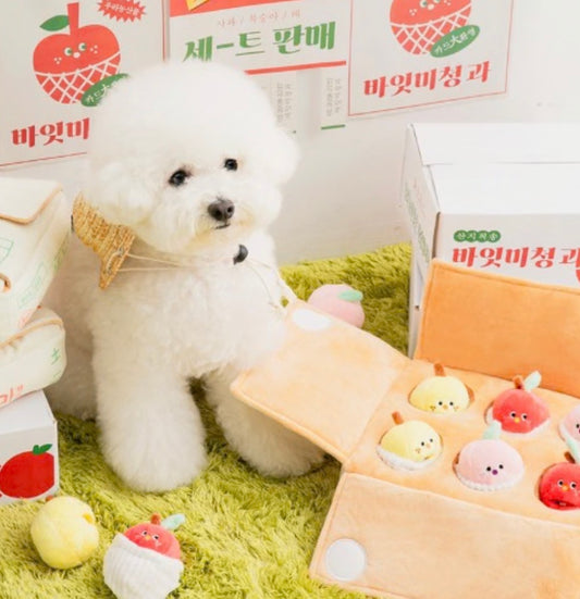 Mixed Fruits Box Nosework Toy