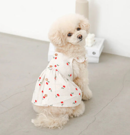 Cherry Frill Dress