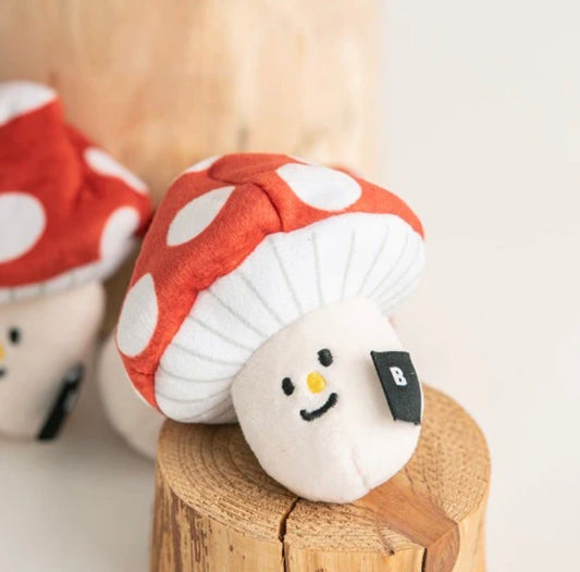 Mushroom Nosework Toy