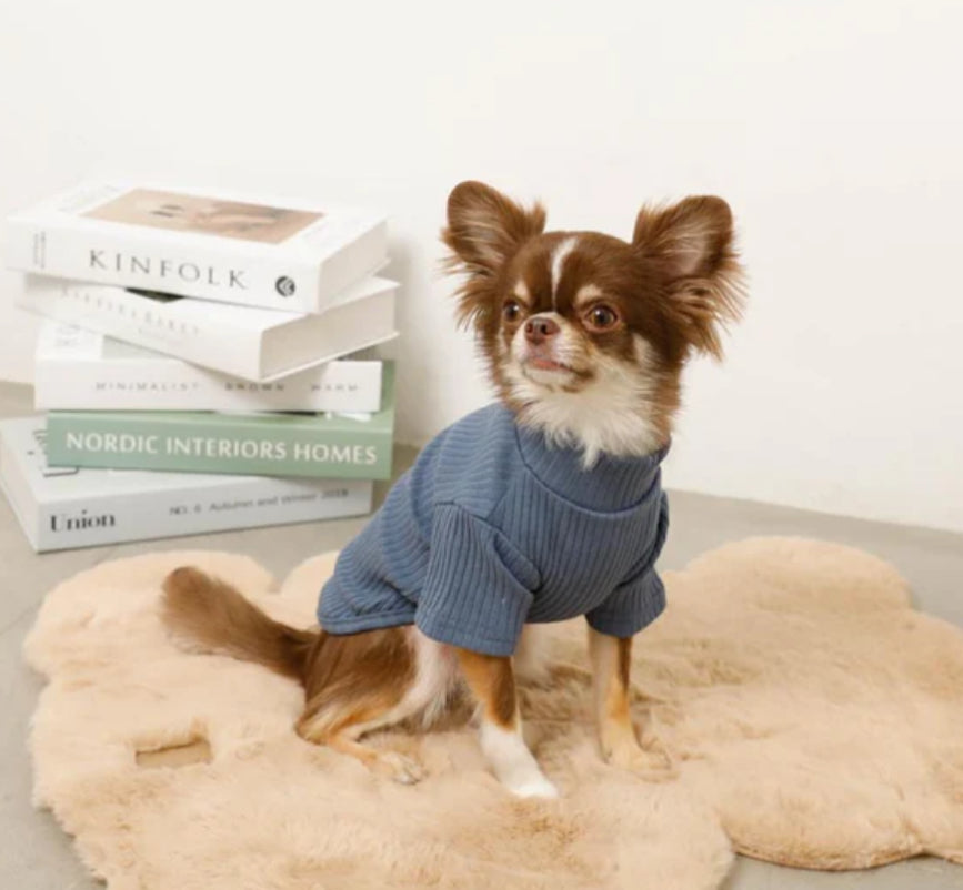 Cozy Ribbed Neck Tee