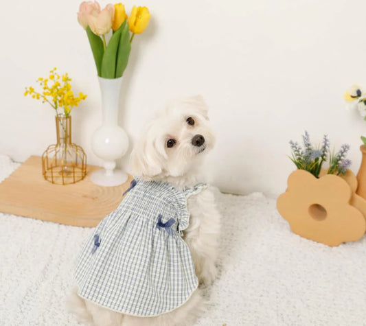 Gathered Ribbon Dress