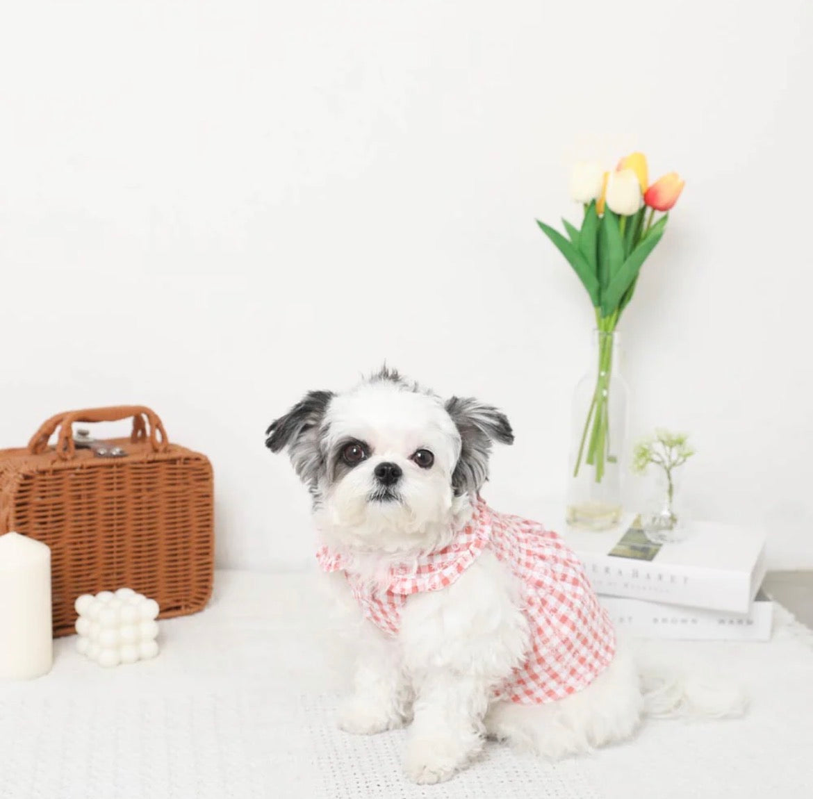 Custom order L&L: Gingham Shirring Dress