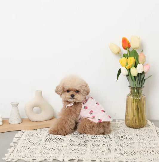 Strawberry Frill Dress