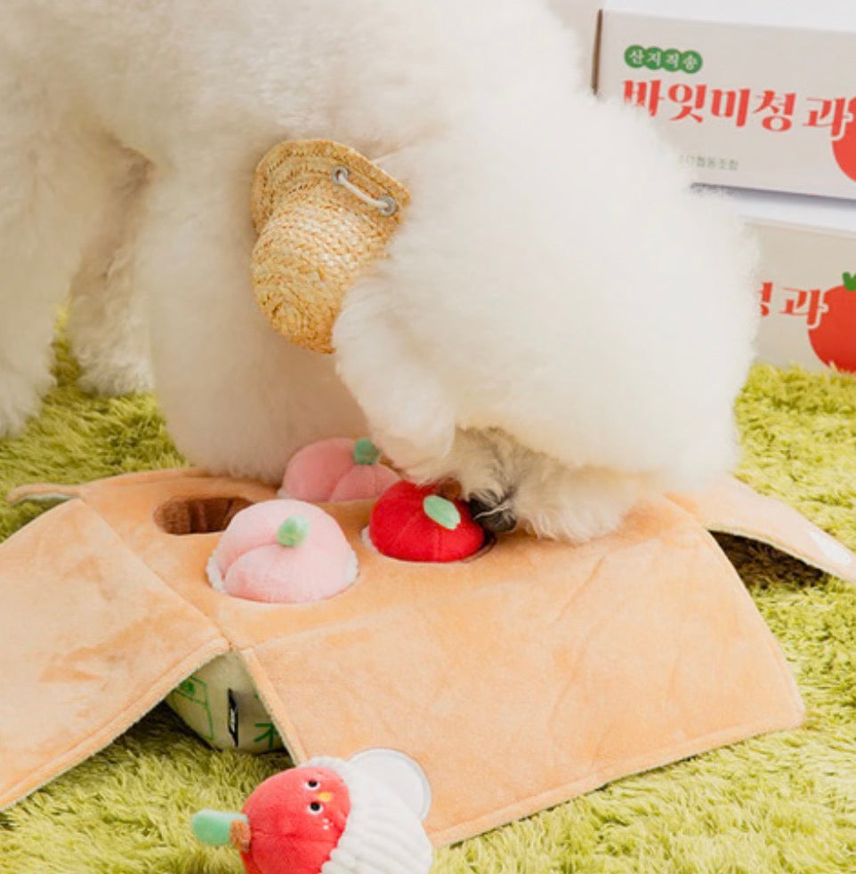Mixed Fruits Box Nosework Toy