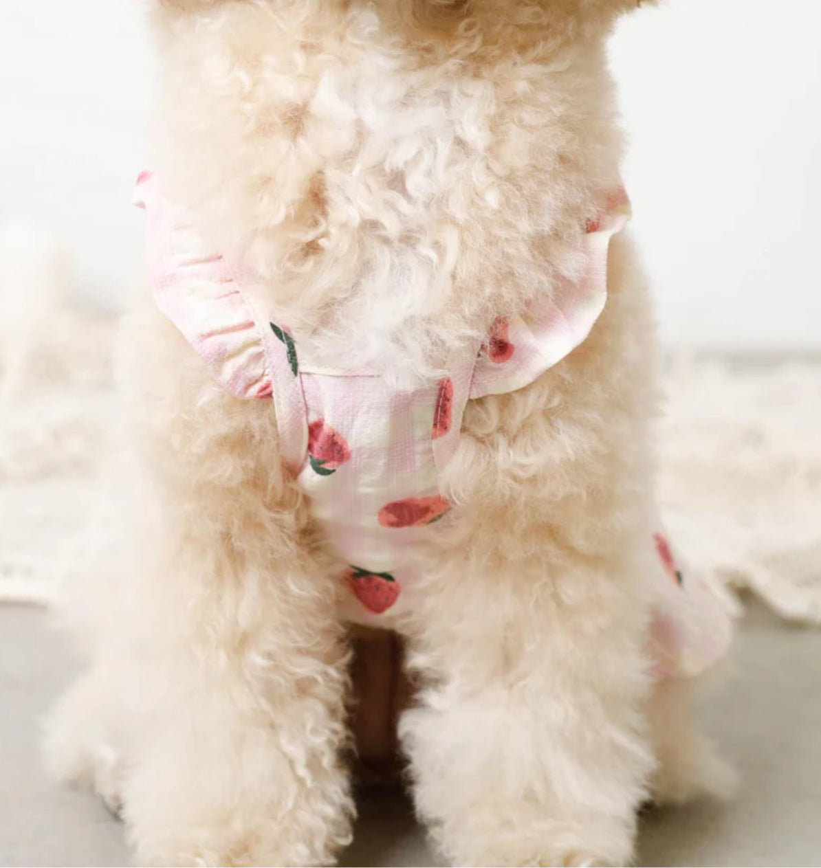 Strawberry Frill Dress