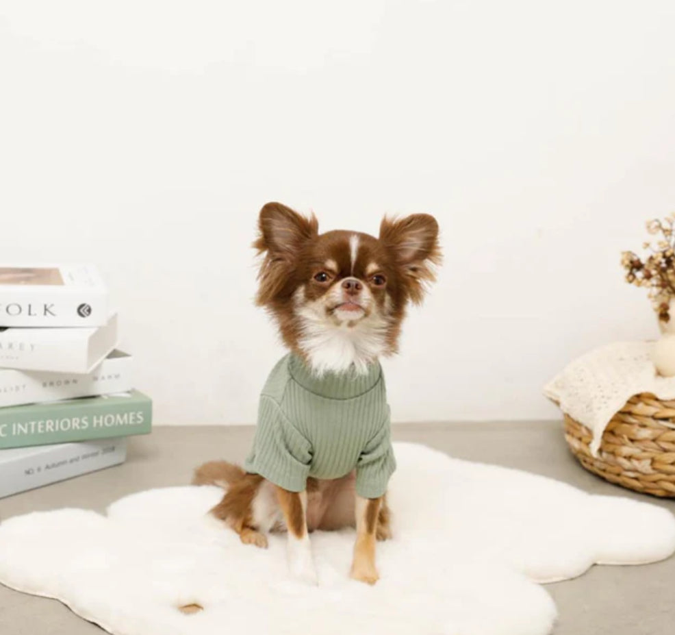 Cozy Ribbed Neck Tee