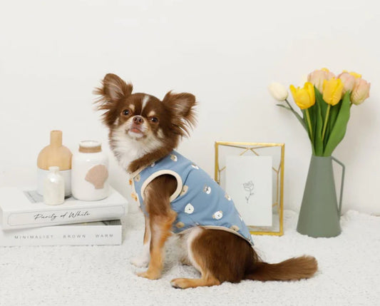 Dog Days Tank