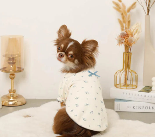 Cozy Blossom Puff Top