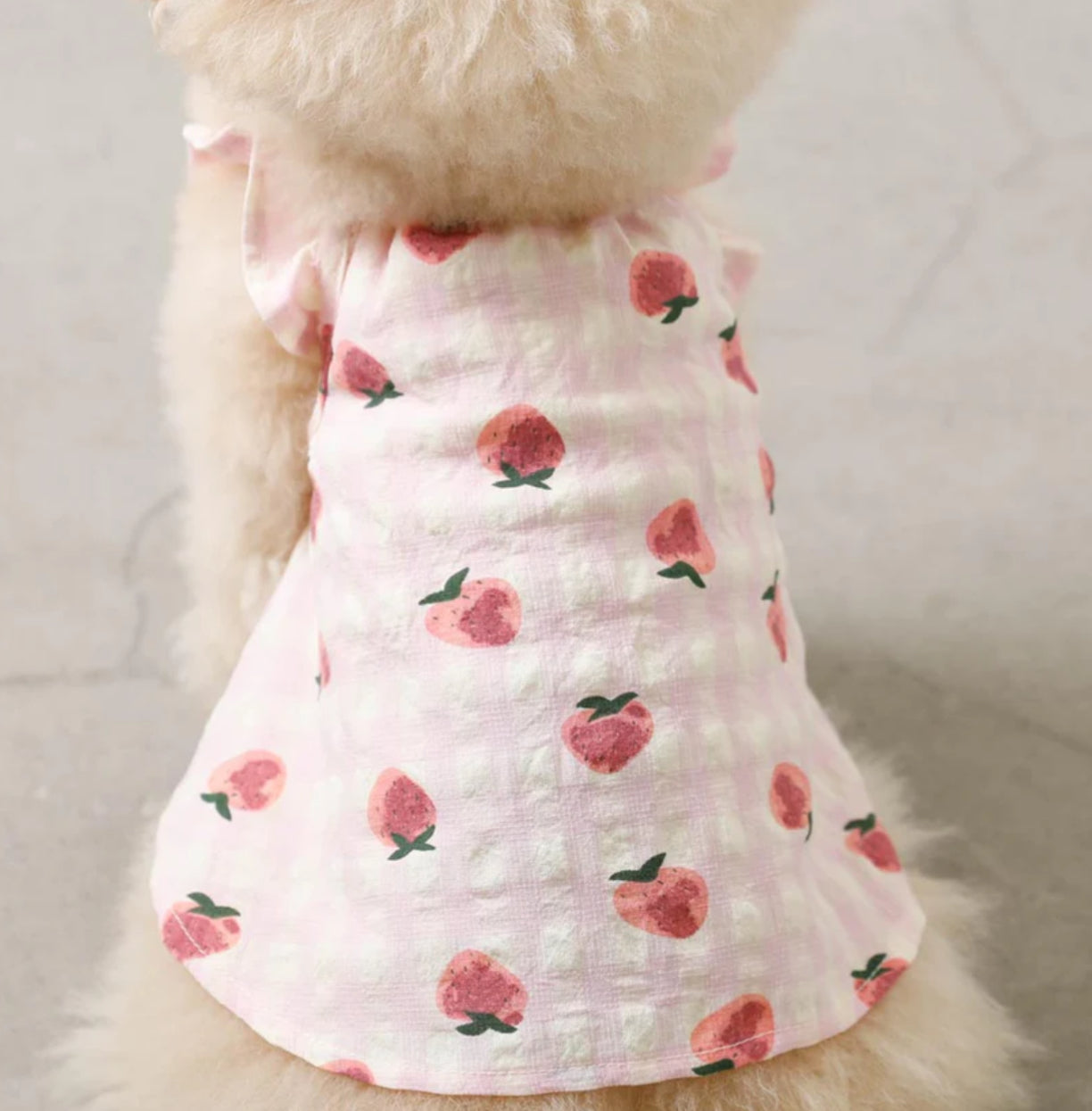 Strawberry Frill Dress