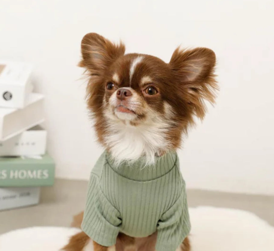 Cozy Ribbed Neck Tee